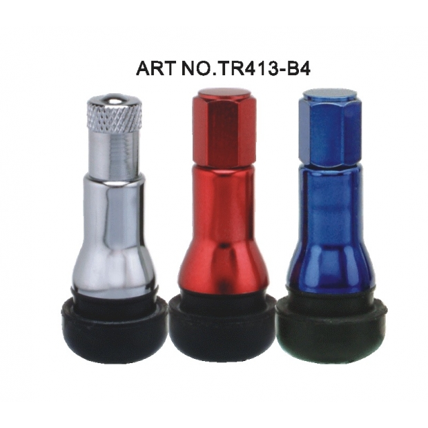 TR413-B4 Passenger valves