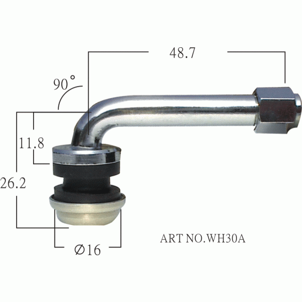 WH30A Passenger car tire valves