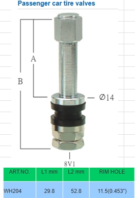 WH204 Passenger car tire valves