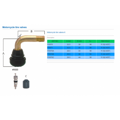 Motorcycle tire valve 摩托車氣門嘴