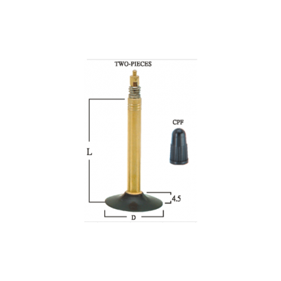 自行車用氣門嘴Bicycle Tire  Valves TWO-PIECES WG22系列